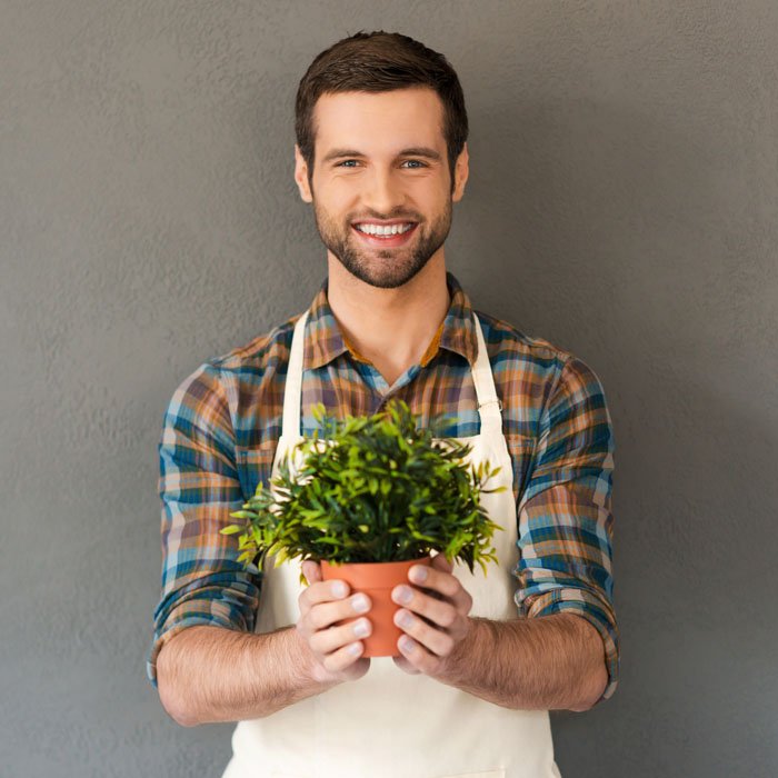 Indoor Plants Maintenance
