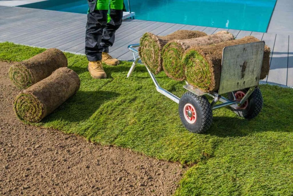 grass supply and installation in dubai