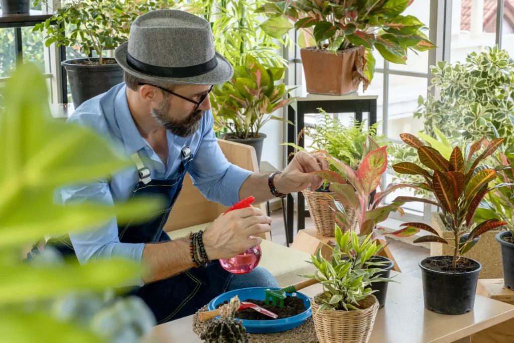 indoor-plants-maintenance-dubai