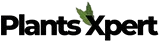plants expert dubai