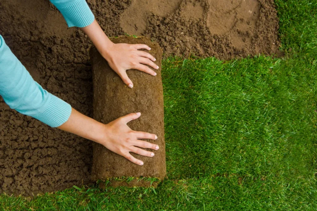 Natural grass installation in dubai