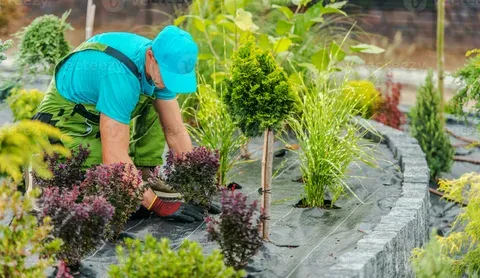 Landscape Services in dubai