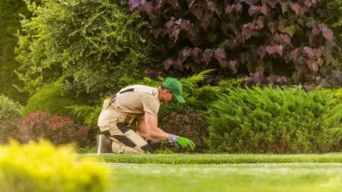Landscaping Services in Dubai