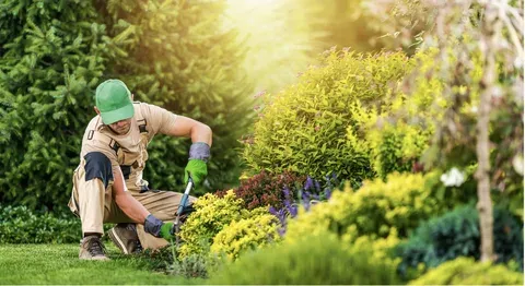 One-Time Garden Service in Dubai (AED 150)