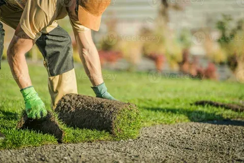 Natural Grass Supply & Installation in Dubai